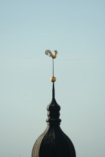 A Weather Vane On Top Of A Building In Riga.