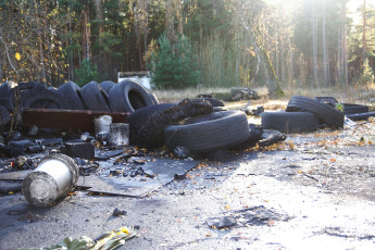 A Skulte Of Tires In A Wooded Area.