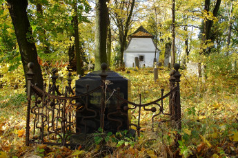 An Old Church Located In A Wooded Area Near St. Martin'S Cemetery.