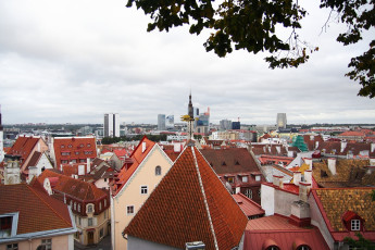 A Bird'S-Eye View Of Tallinn.