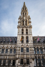 City Of Brussels Town Hall