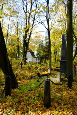 A Cluster Of St. Martin'S Cemetery Gravestones Amidst A Wooded Area.