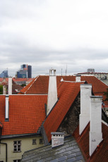 The Roofs In Tallinn Are Red.